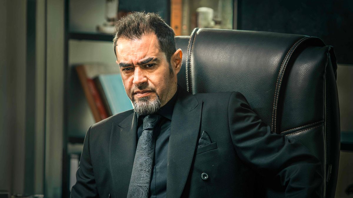 شهاب حسینی فیلم ها