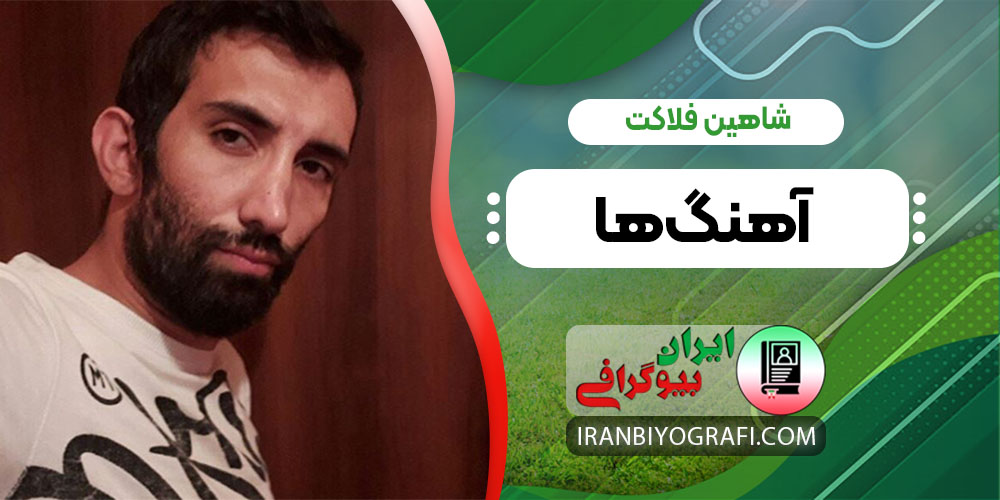 شاهین فلاکت آهنگ ها