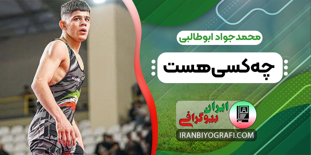 محمدجواد ابوطالبی چه کسی هست