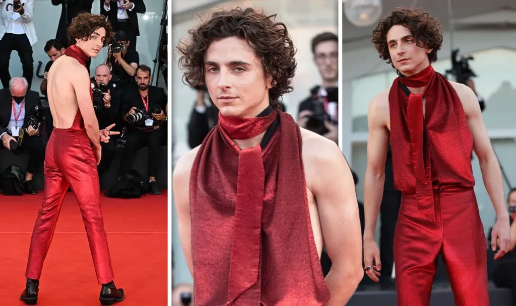 Timothee Chalamet wallpaper 4k