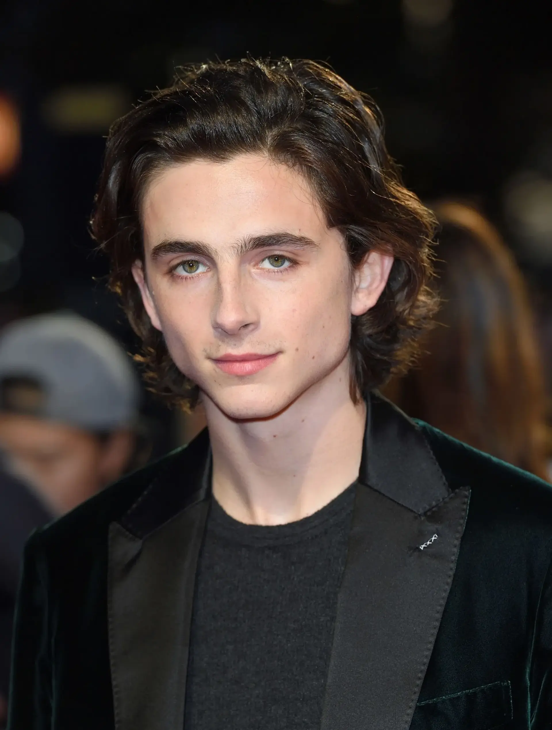 Timothee Chalamet wallpaper for laptop
