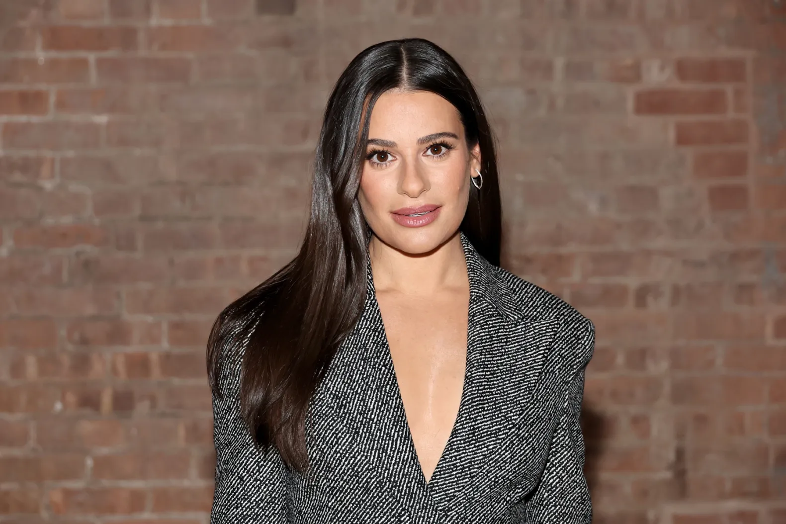 عکس لی میشل برای کامپیوتر