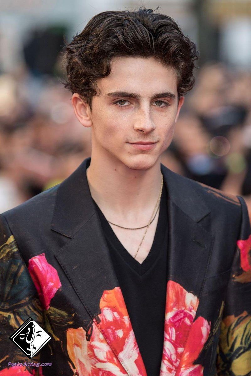Timothee Chalamet wallpaper for phone
